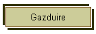 Gazduire