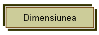 Dimensiunea